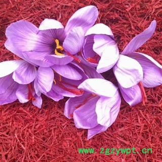 藏红花 西红花 伊朗进口特级 散装称重  番红 长丝  产地货源 批发价格 泡茶 泡酒 煲粥 煮茶养生滋补 保证质量 打造口碑图3