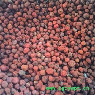 新辉药业中药材火棘果 火棘子 火把果 救兵粮 救军粮 赤阳子图2