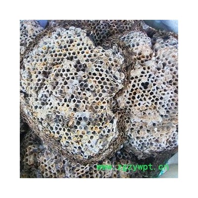 产地直销    软蜂房