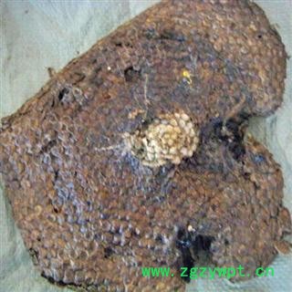 产地直销    软蜂房图3