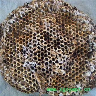 产地直销    软蜂房图2