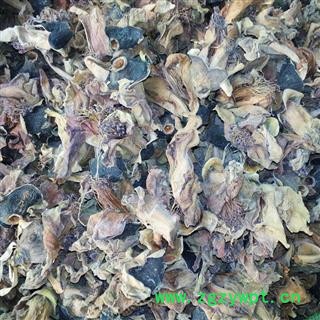 木棉花 统 产地 云南省图2