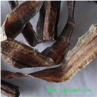 地龙 段 统 产地 广西壮族自治区玉林市市辖区图2