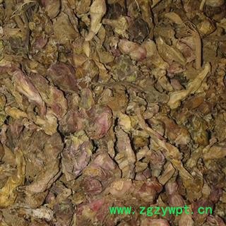 冬花 统 产地 甘肃省定西市陇西县图2