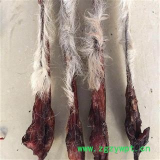 鹿鞭 鹿鞭重量150克以上鹿场直供 产地 吉林省白山市抚松县图2