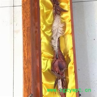 鹿鞭 鹿鞭重量150克以上鹿场直供 产地 吉林省白山市抚松县图3