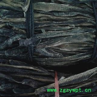 地龙 中个 产地 广西壮族自治区百色市乐业县图2