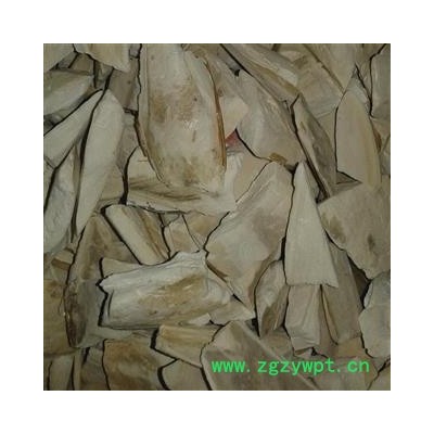 海螵蛸 段统 产地 海外印尼