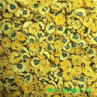 自家种植的婺源黄菊图3