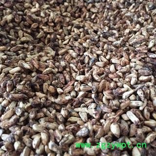 新辉药业石榴皮  石榴籽图2