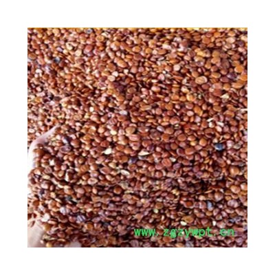 新辉药业枣仁 酸枣仁  进口酸枣仁