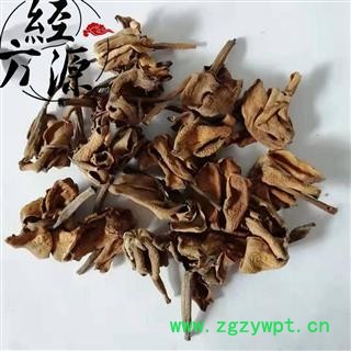 栀子花T 山栀花、野桂花、白蟾花、雀舌花、玉瓯花、玉荷花图2