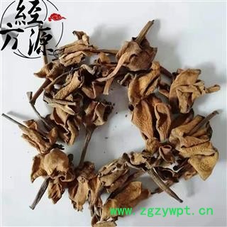 栀子花T 山栀花、野桂花、白蟾花、雀舌花、玉瓯花、玉荷花图3