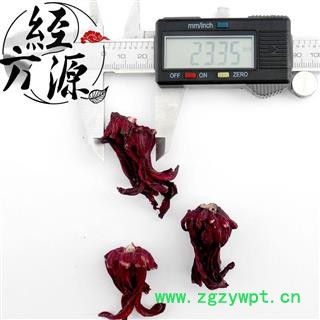 玫瑰茄T 洛神花、洛神葵、山茄 优质正品选货图2