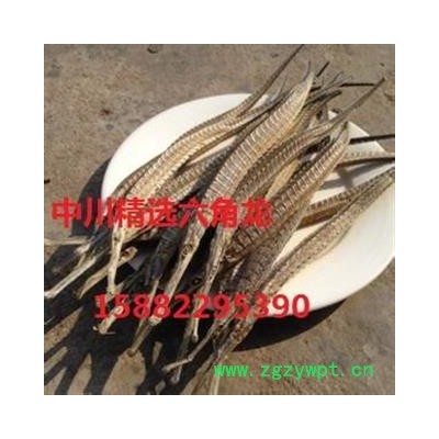 中川精选六角龙   产地进口印尼   库存500可售