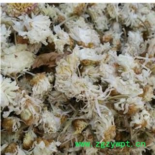 菊花 祁菊花无硫统货 产地 河北省图3