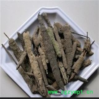 京辉药业 紫霄花 紫稍花 淡水海绵 统图2