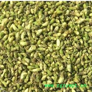 槐米 槐花统货 产地 山东省图3