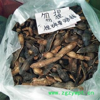 京辉药业 水蛭 沙烫图2