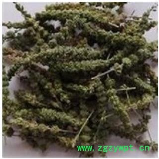 荆芥穗 荆芥穗统货 产地 河北省图2