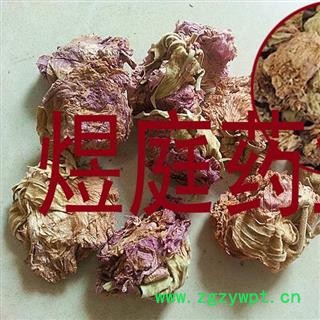 煜庭药业 芙蓉花 正品图3
