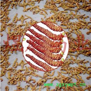 煜庭药业 冷备中药材 杨树花 杨树絮图4