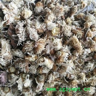 菊花 祁菊花有硫统货 产地 河北省保定市安国药市图2