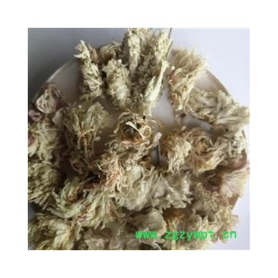 菊花 祁菊花有硫统货 产地 河北省保定市安国药市