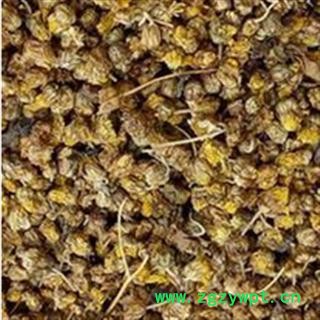 野菊花 野菊花 好统装 无硫货 供应各种中药材 产地 山东省图3