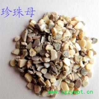 珍珠母 产地直销珍珠母大货 产地 浙江省图2