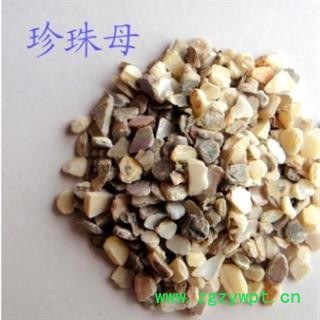 珍珠母 产地直销珍珠母大货 产地 浙江省图3