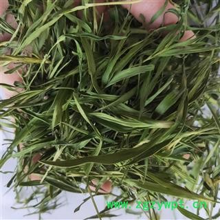 竹叶青 本店新到竹叶青颜色纯青货好干净 产地 浙江省图3