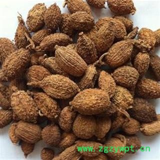 砂仁 进口壳砂仁统货 产地 海外 国药堂 专注品质图3