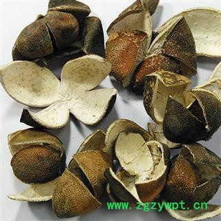 青皮 四花青皮绿色选个 产地 四川省 国药堂 专注品质图2