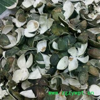 青皮 四花青皮绿色选个 产地 四川省 国药堂 专注品质图3