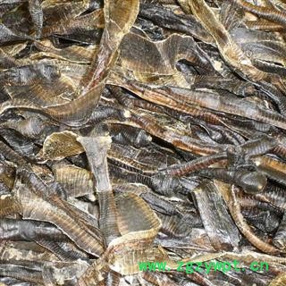 煜庭药业 地龙 蚯蚓、螼、螾、丘螾、蜿蟺、引无、附蚓、寒蚓、曲蟺、曲蟮、土龙、地龙子、土蟺、虫蟮 大开 净货 返现进行中图2