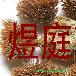 煜庭药业 刺猬皮 生刺猬皮 猬皮 刺鼠皮 猬鼠皮 刺球子皮 仙人衣图4