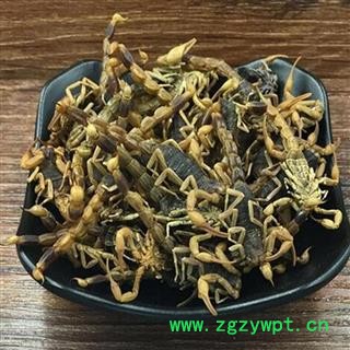 煜庭药业 全虫 全蝎 清水图3