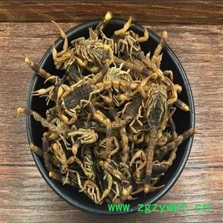 煜庭药业 全虫 全蝎 清水图2