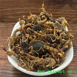 煜庭药业 全虫 全蝎 清水图4