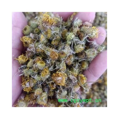 旋覆花 旋覆花统货 正品 产地 河南省 小影全品类中药材店铺