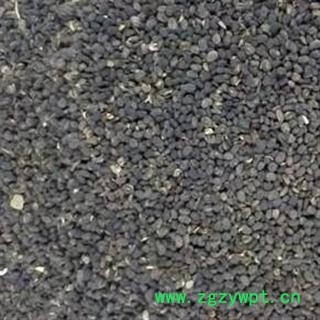 补骨脂 黑故纸 2020统 产地 云南省昭通市盐津县图2