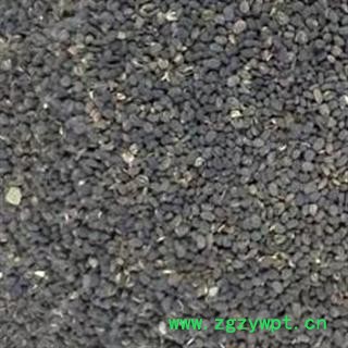 补骨脂 黑故纸 2020统 产地 云南省昭通市盐津县图3