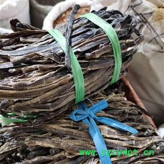 地龙精品 广地龙半开个 产地 广西壮族自治区图2