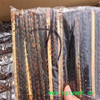 亳州花田错药业一14-15CM  蜈蚣，货真价实，无接条，无段面图2