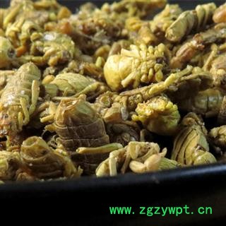 全蝎 山东淡盐全蝎伏货 产地 山东省枣庄市滕州市图2