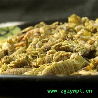 全蝎 山东淡盐全蝎伏货 产地 山东省枣庄市滕州市图4