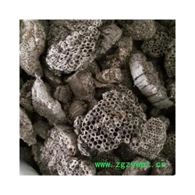 蜂房 统 产地 山东省