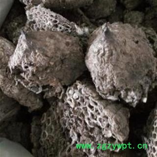 蜂房 统 产地 山东省图2