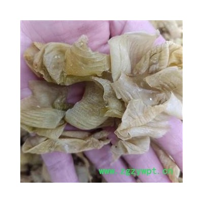 鸡内金 鸡内金黄色统货 产地 山东省 小影全品类中药材店铺